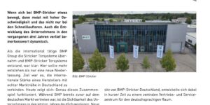 Tuer.Tor .Fenster BMP Stricker 1